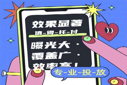 百度竞价排名服务：成功案例解析与优化策略